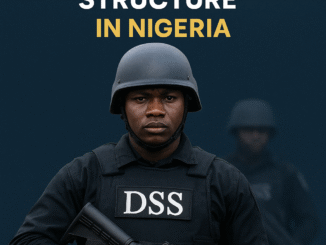 DSS Ranks and Salary Structure in Nigeria